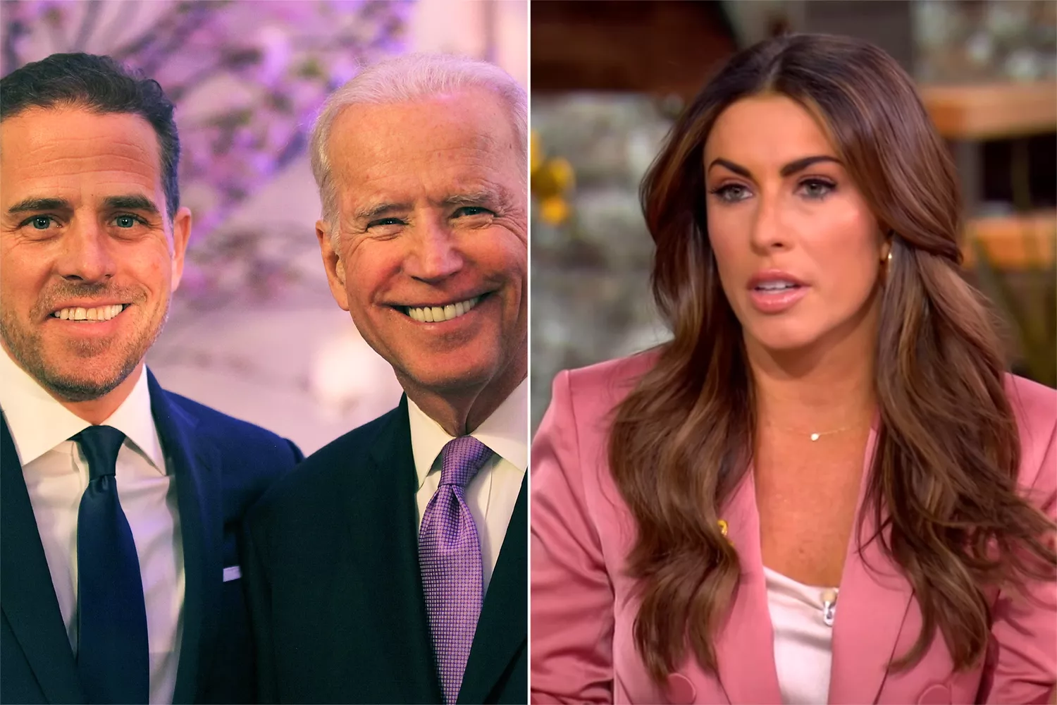 Hunter Biden and Joe Biden; Alyssa Farah Griffin on 'The View'