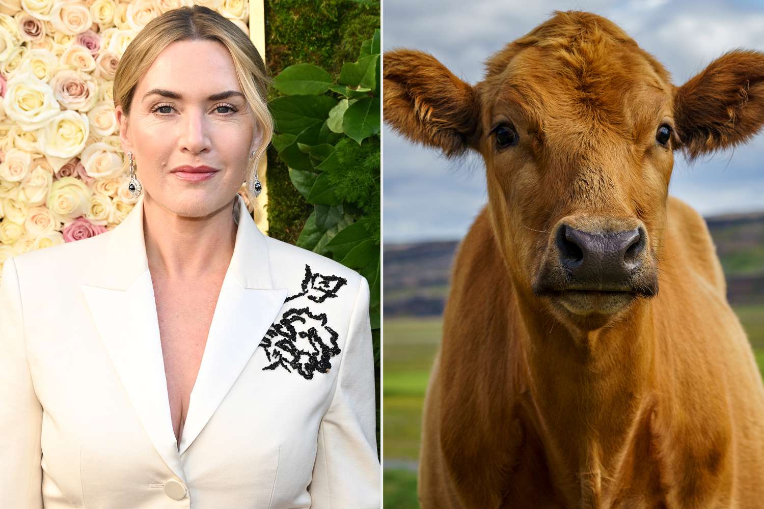 Kate Winslet reveals her fear of cows